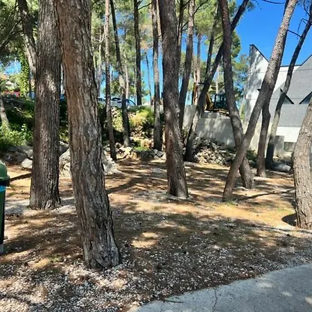 Apartma Tina * Veglia
